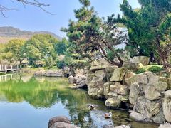 -白马涧龙池景区