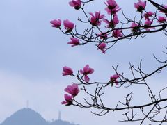 -九皇山景区