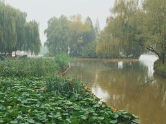 -洛阳市隋唐城遗址植物园