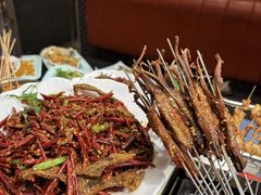 -邢氏老太太烤串(北兴街店)