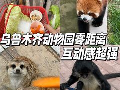 -水上乐园·欢乐世界