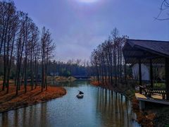 -东平国家森林公园