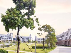 -仙湖旅游度假区