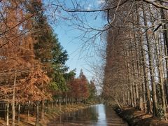 -上海长兴岛郊野公园