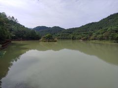 -广州白江湖森林公园
