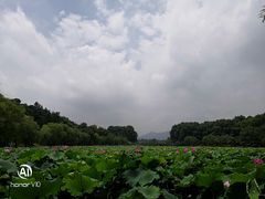 -印象西湖·最忆是杭州实景演出