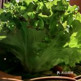 0元玩转这座城 「富淞·和牛焼肉(雅清街店)」
