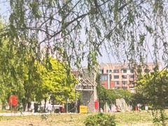 -塘沽森林公园