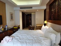 -宜春明月山维景国际温泉度假酒店