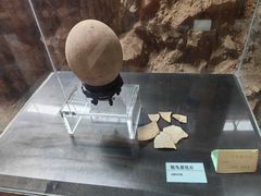 -中国第四纪冰川遗迹陈列馆