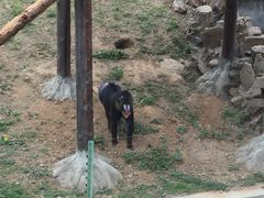 -石家庄市动物园