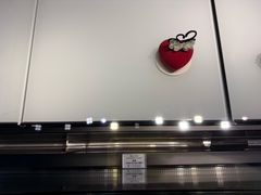 -BLACKSWAN黑天鹅(环球店)