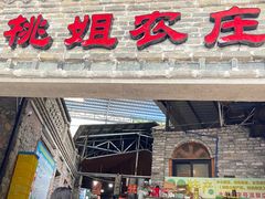-桃姐农庄老字号(从化温泉店)