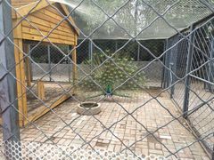 -长白岛森林公园