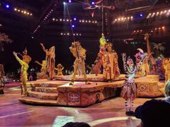 -奥兰多迪士尼动物王国乐园