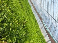 -万源龙顺度假庄园生态观光园