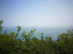-怪坡茶馆