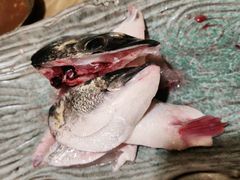 -御瀛日本料理
