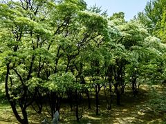 -国家植物园南园