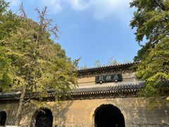 -灵谷景区
