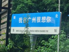 -柴犬高等学院·狗咖·柴犬售卖·宠物训练