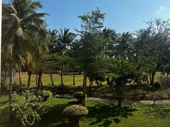 -三亚亚龙湾金棕榈度假酒店