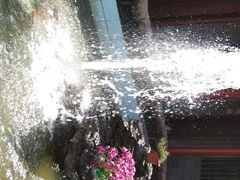-寻味肇庆·八姑农庄·广府西江菜