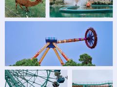 -南京银杏湖乐园