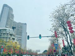 -洲头咀公园