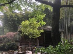 -达蓬山旅游度假区