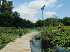 -沈阳植物园
