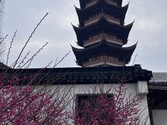 -吴兴寺