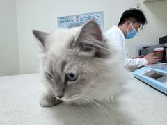 -美联众合24小时·皮肤科·外科·全科诊疗中心(华苑分院)
