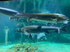 -华夏文旅海洋公园