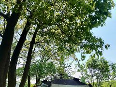 -白马涧龙池景区
