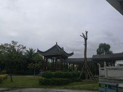 -飞来湖湿地公园