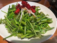 -菌自由丨野生菌火锅特色庭院餐厅(丽江古城店)