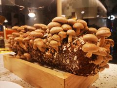 -椰子营·椰子鸡火锅(万象里店)
