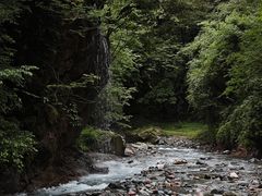 -西岭雪山大飞水景区