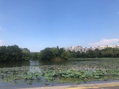 -新江湾城公园
