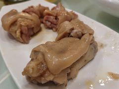-丁老爷子苏香圆