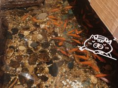 -邈墨茶馆(凤起路店)