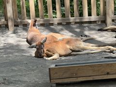 -水上乐园·欢乐世界