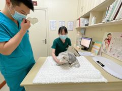 -瑞派康怡24h宠物医院·犬猫医疗中心·微创绝育(瑞景分院)