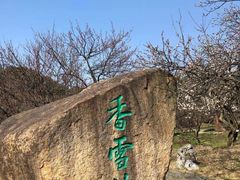-香雪海