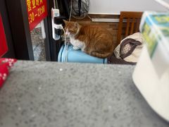 -珊珊小笼馆(仙霞路店)