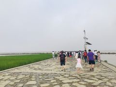 -南汇嘴观海公园