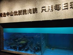 -淘米捞·米汤脆鲩鱼火锅(福田皇岗店)