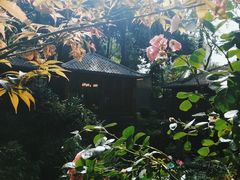 -大妙火锅·非物质文化遗产(东湖公园店)