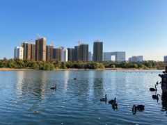 -五缘湾湿地公园
